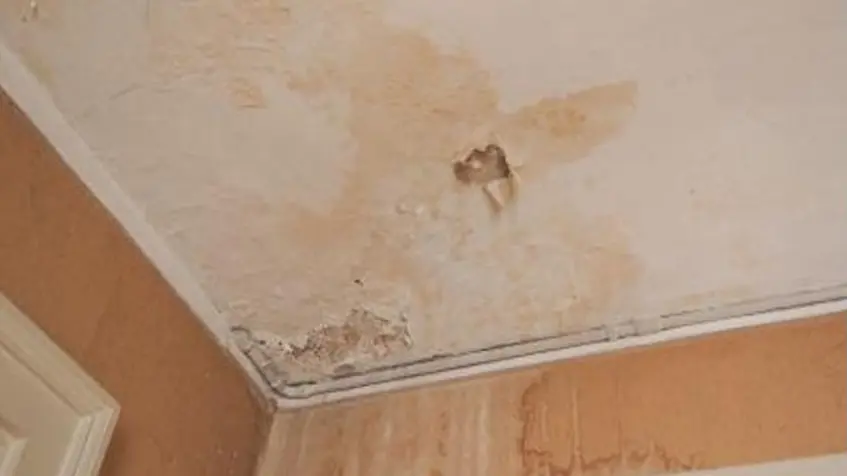 Detección y reparación de fuga de agua oculta